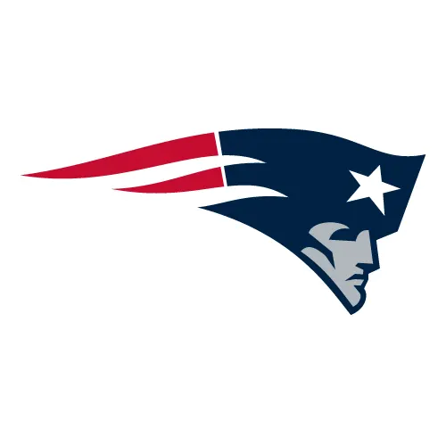 NE team logo